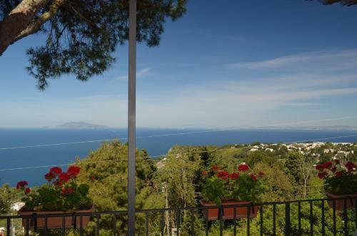 Alle Ginestre Capri B&B