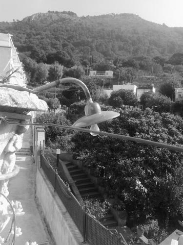 B&B Angelide