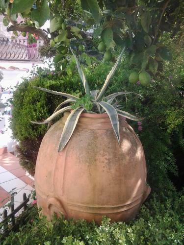 B&B Angelide