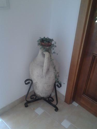 B&B Angelide