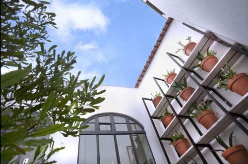 Bed & Breakfast Capri Suite