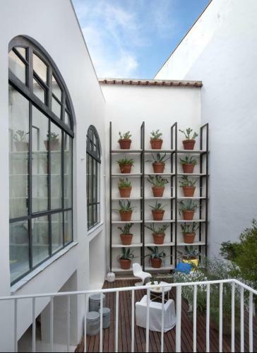 Bed & Breakfast Capri Suite