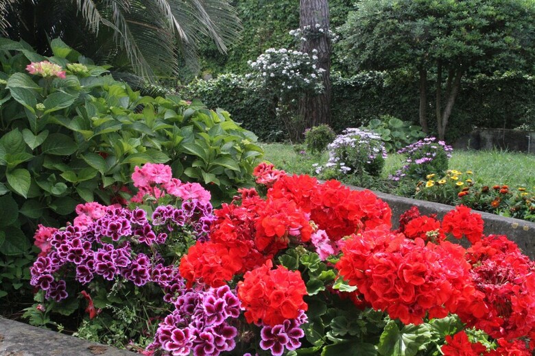 B&B Il Sogno