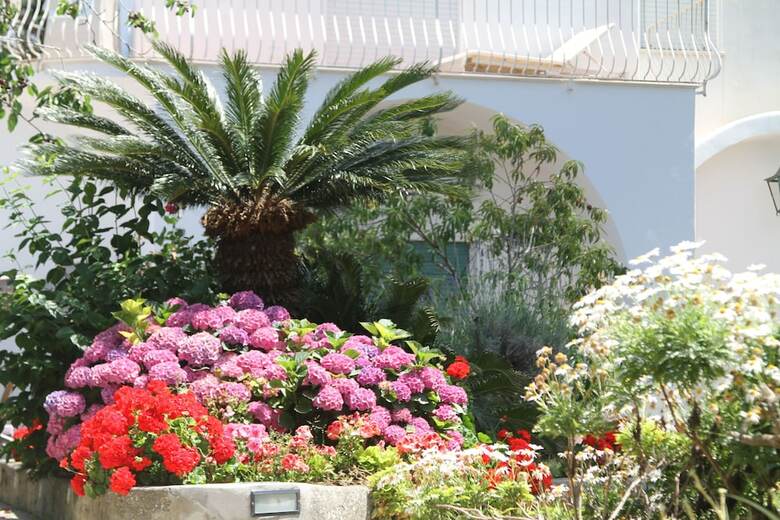 B&B Il Sogno
