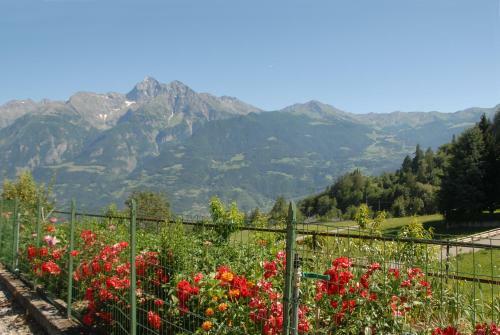 Agroturismo Agriturismo Plan D'avie