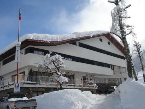 Hotel Albergo Cioccarelli