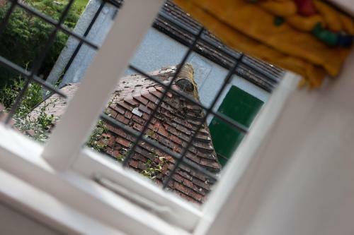 Bed & Breakfast Shakespeare's View
