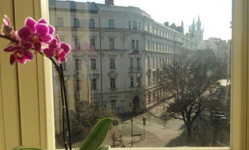 Nice View Apartment