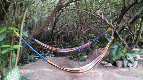 Hotel Manglar Pacific