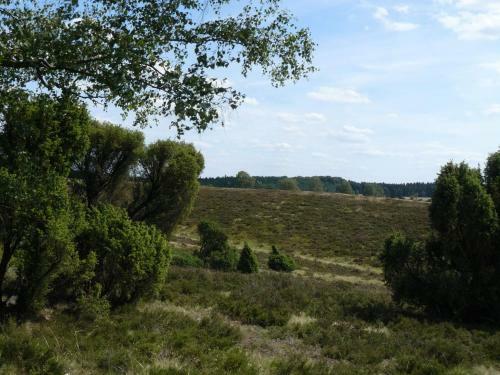 Modish Holiday Home In Wietzendorf Germany With Meadow Views