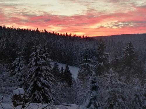 Apartamento Ferienwohnungen Glockenberg