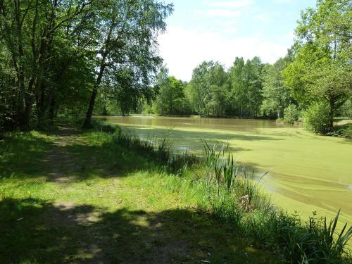 Apartamento Ferienwohnung Gerken