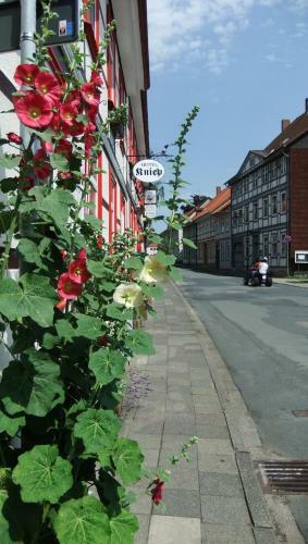 Hostal Hotel Kniep