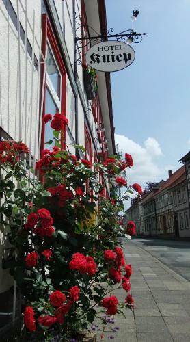 Hostal Hotel Kniep