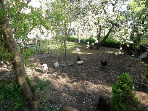 B&B M�hlenvilla Am B�tzower Hafen