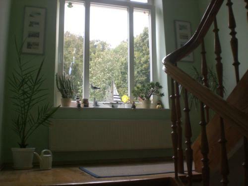 Hostal Pension Villa Sophia