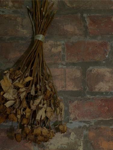 Apartamento Vogelhaus Gobbin