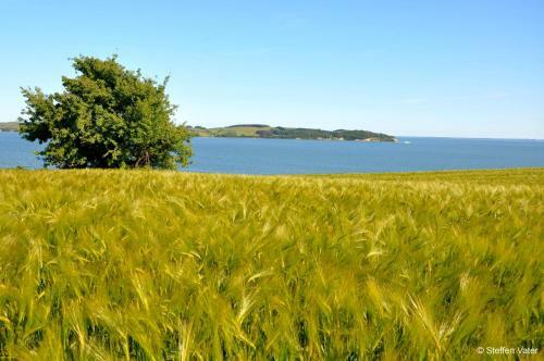 Hostal Pension Waldeck