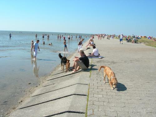 Apartamento Appartements Kr�ger