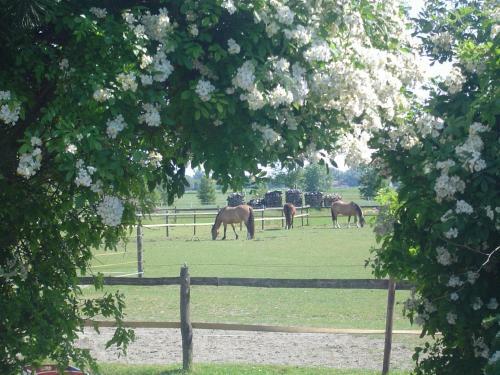 Agroturismo Traberhof
