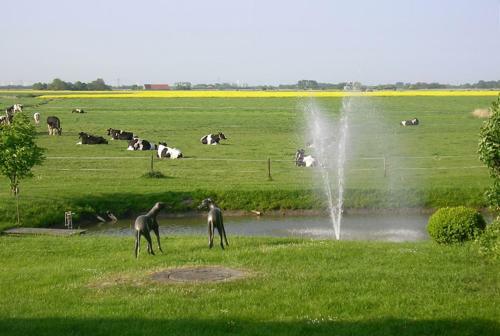 Hostal Pension Landart