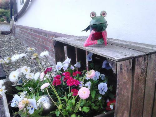 Hostal Zum Alten Krug