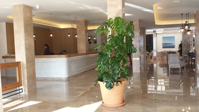 Aparthotel Valentin Puerto Azul