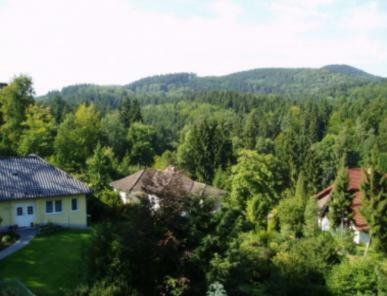 Hostal Ferienhotel Waldfrieden