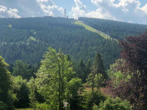 Berghotel Hahnenklee