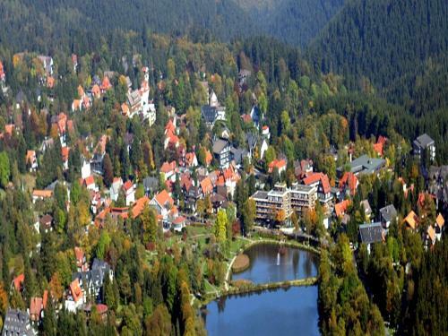 Bed & Breakfast Haus Engel In Hahnenklee