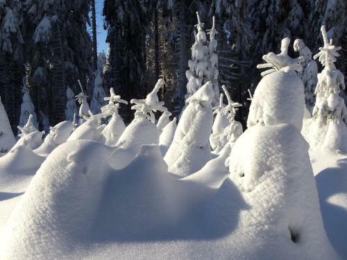 Apartamento Waldhaus Hahnenklee
