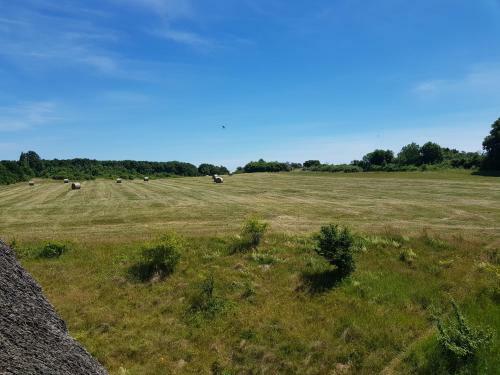 Apartamento Strandhaus Lobbe