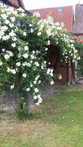 Bed & Breakfast G�stehaus 22 Am Klostergarten