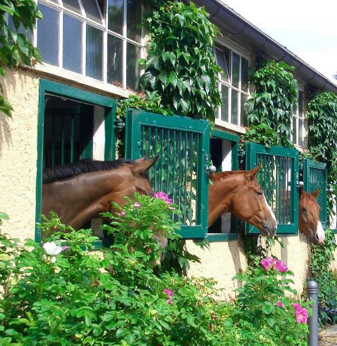 Hostal G�stehaus Schloss Bothmer