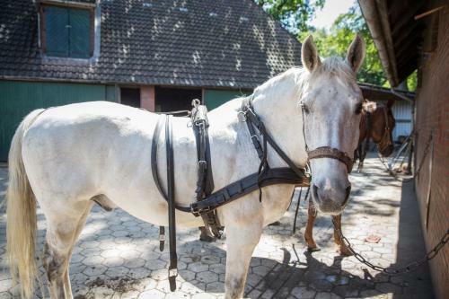 Hostal Ferienhof Heins