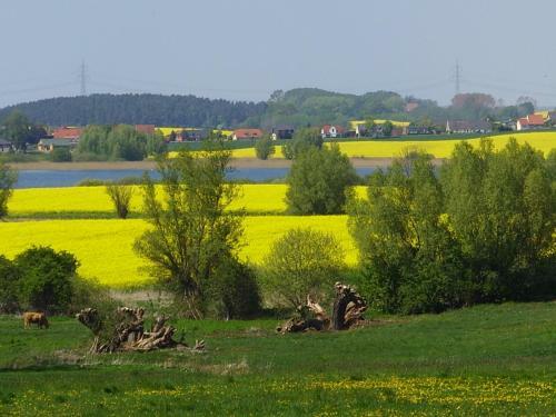 Landhotel Spornitz