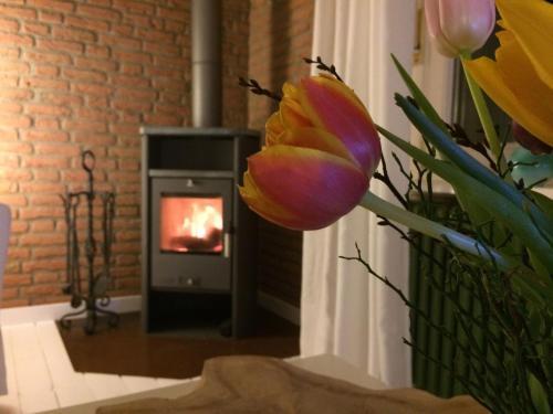 Ferienhaus Gut Sunder