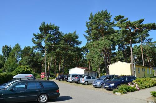 Ferienwohnung Mondfisch An Der Ostsee