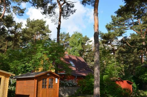 Ferienwohnung Mondfisch An Der Ostsee