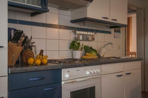 Apartamento Der Deichhof - Ferienwohnungen