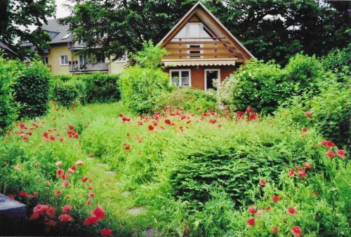 Holiday Home Zinnowitz (seebad) 1