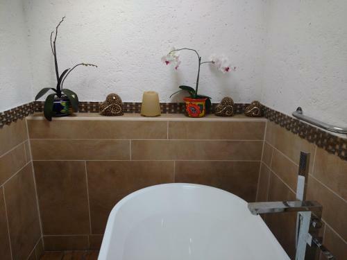 Bed & Breakfast Casa D'lobo Hotel Boutique