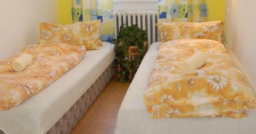 Hostal Penzion Eliska