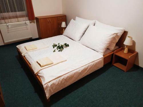 Hostal Penzion Jantar