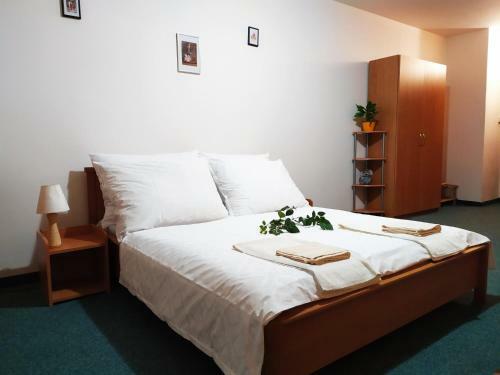 Hostal Penzion Jantar