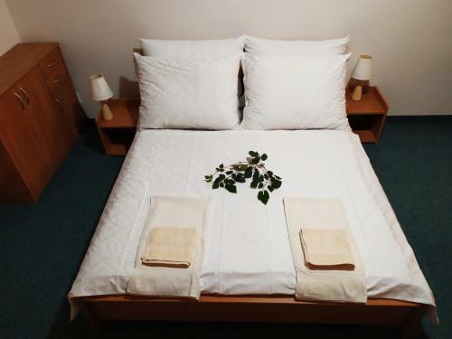 Hostal Penzion Jantar