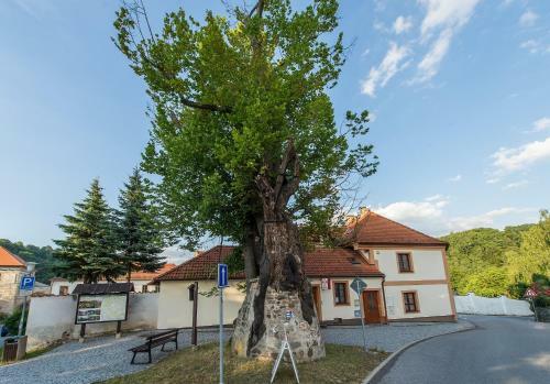 Hostal Penzion A Kemp Koruna