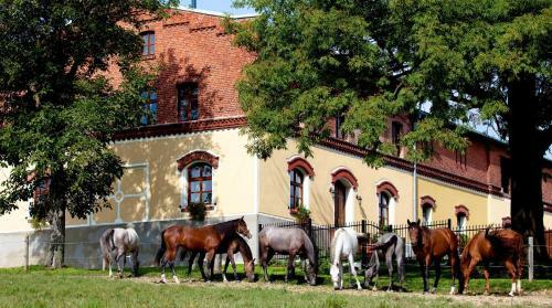 Agroturismo Pension Rothschild?v Dv?r