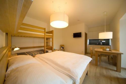 Hostal Penzion Star� V�penka