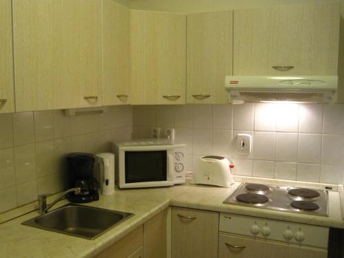 Apartamento Appartement Jachymov
